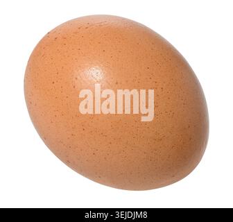 Whole raw brown egg on isolated background Stock Photo