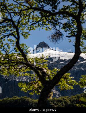 Snowy mountain peak seen through a heart shaped tree Stock Photo