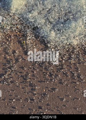 Shattered tempered glass pieces on asphalt Stock Photo