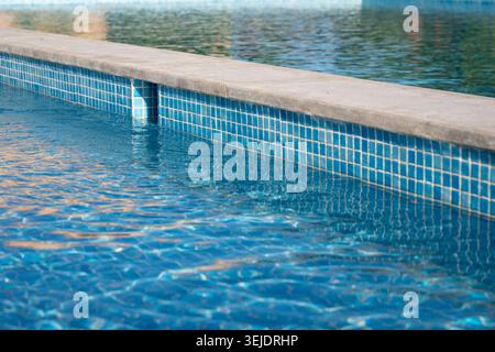 The edge of a sparkling blue swimming pool is visible, with small blue tiles and a concrete coping, reflecting sunlight on the water's surface Stock Photo