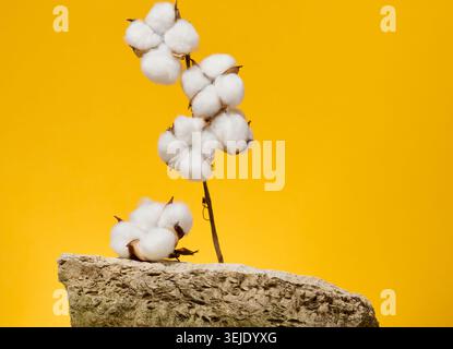 Stone and branch with white cotton flowers on yellow background, stage for product display and advertising Stock Photo