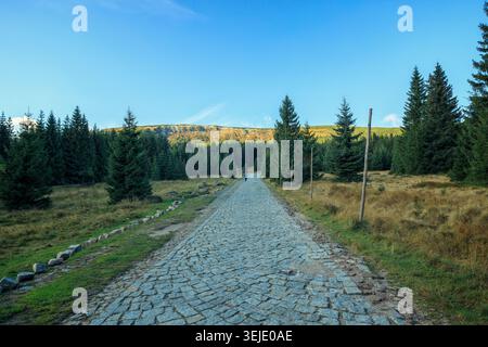 Karpacz, Poland - 29.09.2022: Scenic paved trail through evergreen trees with mountains visible in the background during sunny day Stock Photo
