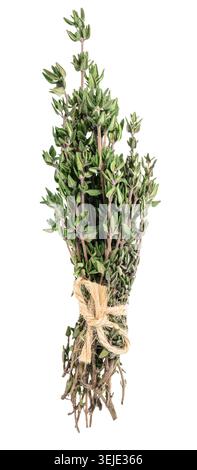 A bunch of fresh thyme, tied together with twine, is isolated on a white background. Stock Photo