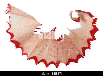 Curled red pencil shaving on isolated background. Close up Stock Photo