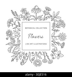 Botanical Line Art Frame with Wildflowers and Herbs Stock Vector
