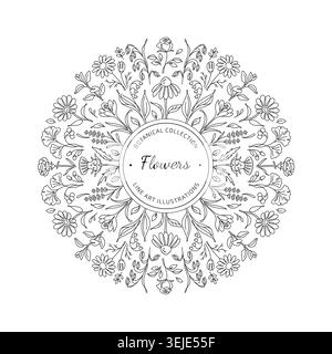 Botanical Line Art Floral Mandala Frame Stock Vector