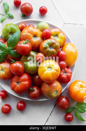 Fresh assorted  tomatoes arranged on a white plate with green basil leaves in a bright kitchen setting Stock Photo