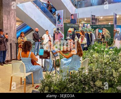 A female string quartet playing inside Peter Jones, a department store in Sloane Square during Chelsea in Bloom week ,Sloane Square,London SW3 Stock Photo