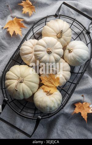 White pumpkins and autumn leaves in a metal basket. Autumn home decor. Stock Photo