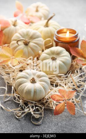 Thanksgiving season still life with small pumpkins and fall leaves over grey concrete  background Stock Photo