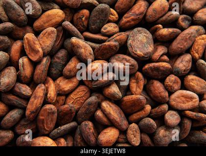 Cocoa beans background Stock Photo