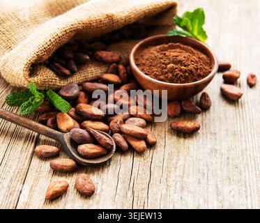 Raw cacao beans and cocoa powder Stock Photo