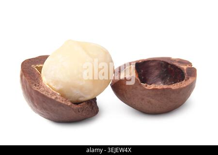Macadamia nut Stock Photo