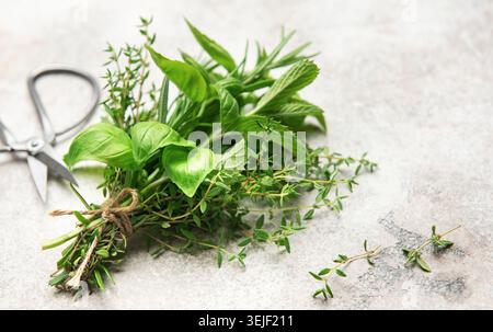 Fresh herbs tied together with twine on gray table with scissors Stock Photo