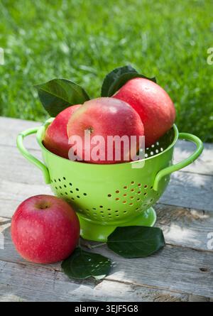 Fresh ripe red apples Stock Photo
