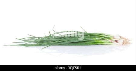 Fresh garden herbs. Spring onion Stock Photo