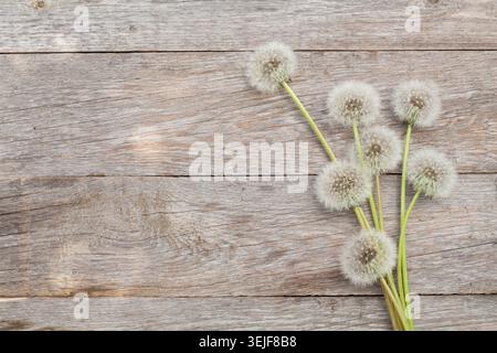 Dandelion flowers on wooden background Stock Photo