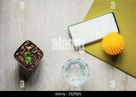 Home wellness flat lay with smartphone mockup, green yoga mat, massage ball and small plant on wooden floor, calm fitness and self care growth concept Stock Photo
