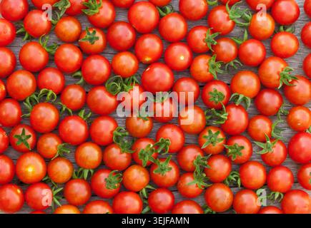 Ripe cherry tomatoes Stock Photo