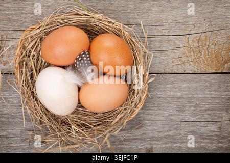 Eggs nest over wooden table background Stock Photo