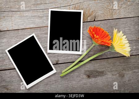 Two colorful gerbera flowers and photo frames Stock Photo