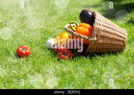 Fresh ripe vegetables in the basket Stock Photo
