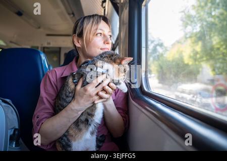Curious intrigued active cat in woman arms looking through train window during journey, pet travel Stock Photo
