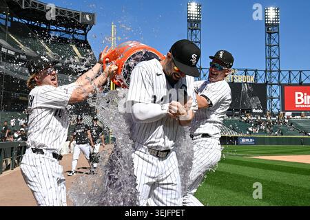 Chicago White Sox designated hitter Manny Ramirez puts chewing tobacco in  his mouth before a baseball game against the Cleveland Indians at  Progressive Field in Cleveland on August 31, 2010. UPI/David Richard