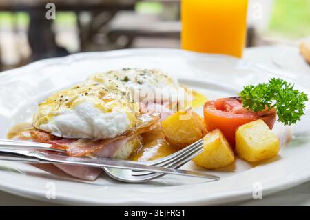 Eggs Benedict with poached eggs hollandaise sauce crispy bacon ham on toast with roasted potato tomato and parsley, orange juice background Stock Photo