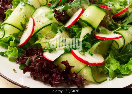 Vegetable salad, radishes and cucumbers, radish micro-greens, lettuce leaves, green onions, homemade, no people, Stock Photo