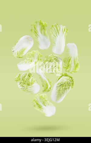 Fresh green chinese cabbage with whole head and leaves fly as swirl art composition on green background. Summer healthy food veg Stock Photo