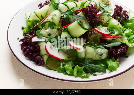 Vegetable salad, radishes and cucumbers, radish micro-greens, lettuce leaves, green onions, homemade, no people, Stock Photo