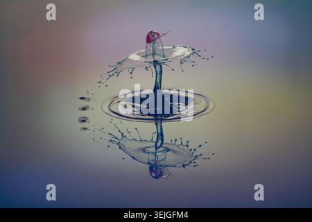A blue and red water drop collision forms an umbrella‑shaped splash, illuminated by colorful flashes and mirrored perfectly on the water surface. Stock Photo