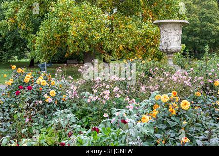 Flowers in autumn in the Royal Botanic Gardens at Kew, Richmond, Surrey, England UK Stock Photo
