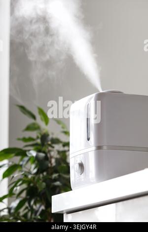 Aroma oil diffuser on the table at home, steam from humidifier Stock Photo