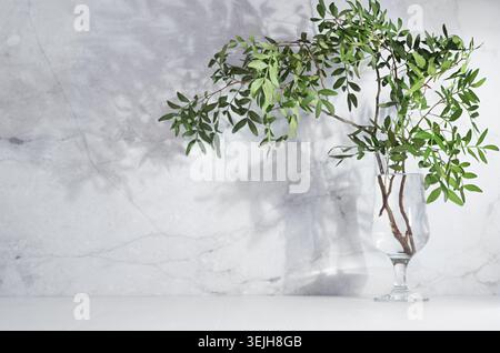 Fresh sunny bouquet with green branch of tree in sunshine with shadows on white marble wall, wood table, copy space. Stock Photo