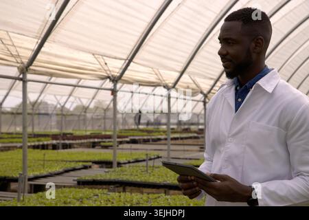 African American man in lab coat holding tablet, observing seedling trays in greenhouse, copy space. Botany, horticulture, culti Stock Photo