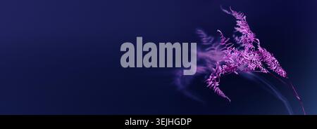 Dry pink fern branch with blur shadow on deep purple wall, copy space, web banner. Fashion digital glitch infrared style. Stock Photo