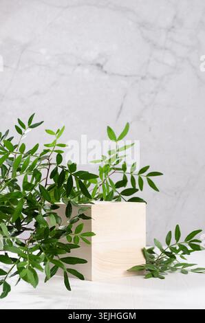 Elegant summer style of showcase for cosmetics product display - wooden podium with green leaves in sunlight on white wood board Stock Photo