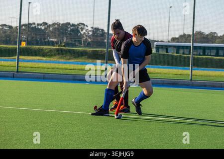 Diverse male field hockey players competing for white ball on synthetic turf pitch with sticks. Athletes, competition, teamwork, Stock Photo