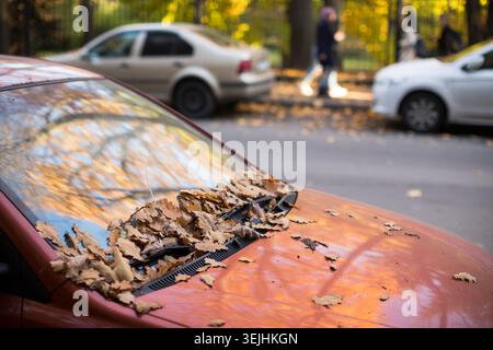 Fallen dry brown oak leaves lying on car windshield and hood in sunny weather, side view, soft focus Stock Photo
