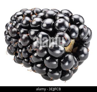 A single, large, ripe blackberry isolated on a white background. Detailed macro stacking method image. Clipping path. Stock Photo