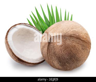 Peeled coconuts fruit with white flesh, palm leaves and a piece of coconut isolated on white background. Stock Photo