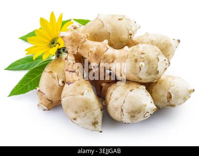 Freshly harvested Jerusalem artichoke (sunchoke) tubers with a yellow flower and green leaves, isolated on a white background. This unique, healthy ro Stock Photo