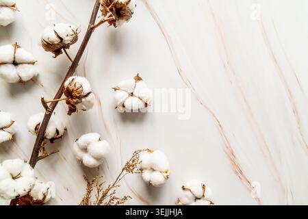 Cotton flowers on grey marble background flat lay top view Stock Photo