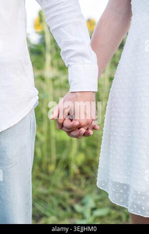 Beautiful couple standing in sunflowers fields and holding hands. Stock Photo