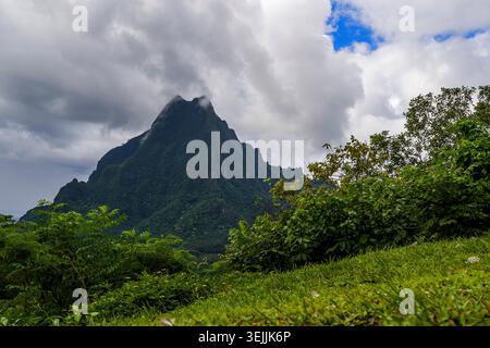 French Polynesia - Moorea Island, Stock Photo