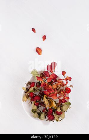 Autumn simple abstract background with red dried rose hip on branch and flying leaves in bowl on light white wood board, top vie Stock Photo