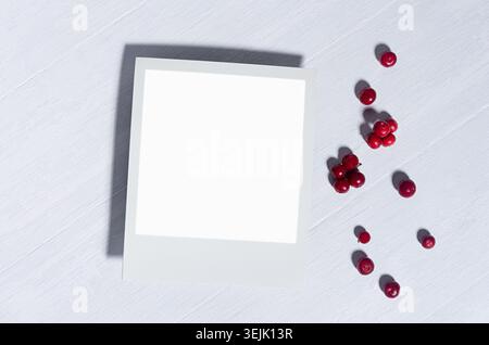 Blank polaroid photo frame in sunlight with red berries lingonberry on white wooden board top view, copy space. Stock Photo