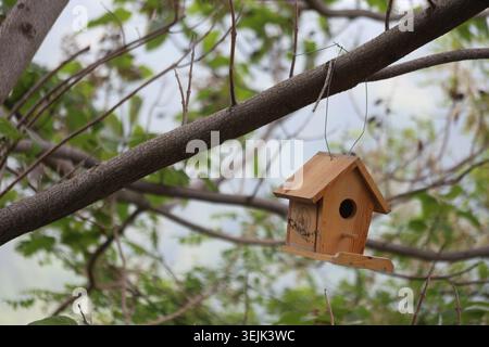 Multiple Small Wooden Birdhouses Hanging on the Branches of a Tree in Spring Stock Photo